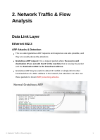 Network Traffic & Flow Analysis .pdf